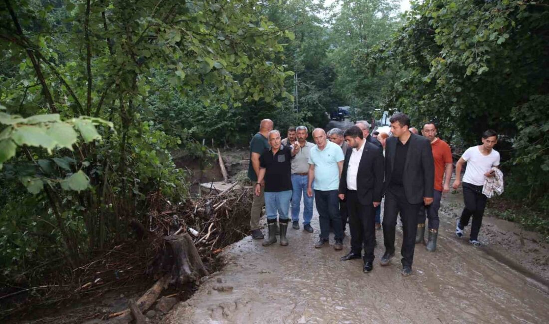 ORDU BÜYÜKŞEHİR BELEDİYE BAŞKANI