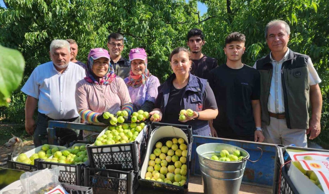 ÇANAKKALE’NİN BAYRAMİÇ İLÇESİNİN AVRUPA