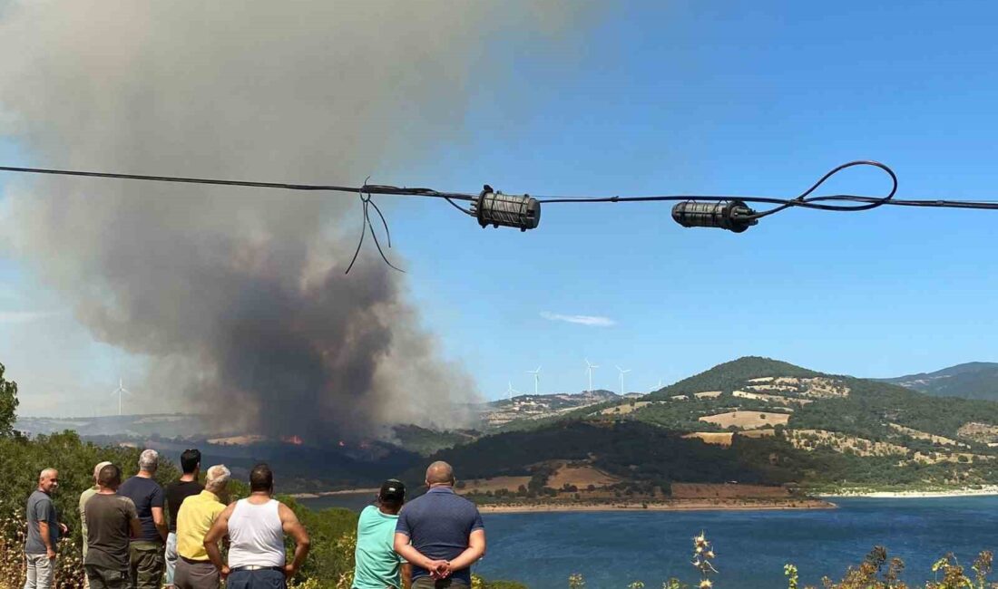 ÇANAKKALE’NİN BAYRAMİÇ İLÇESİNDE ÇIKAN