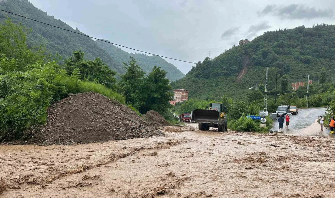 TRABZON BÜYÜKŞEHİR BELEDİYESİ, KENTİN