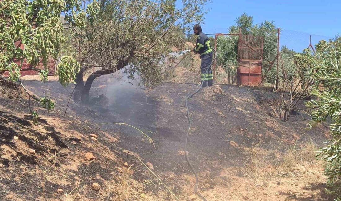 HATAY’IN BELEN İLÇESİNDE ÇIKAN