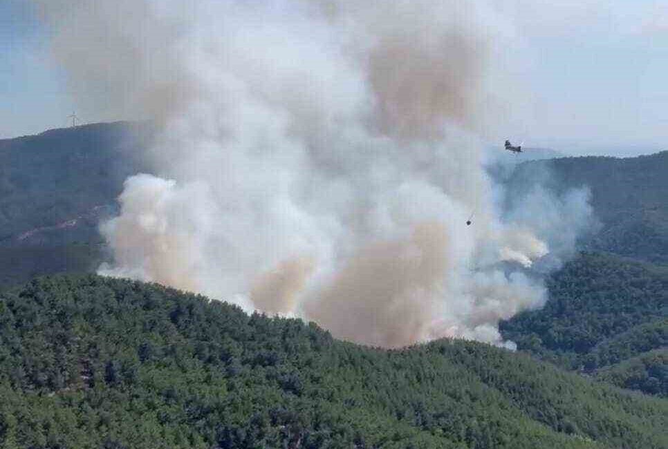 İZMİR’İN BERGAMA İLÇESİNDE ÇIKAN