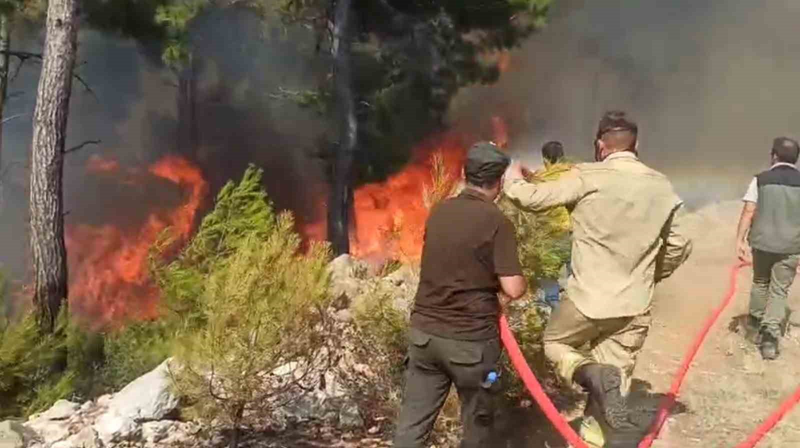 Bodrum’da ’Ateş Savaşçıları’ alevlerle göğüs göğüse mücadele ediyor