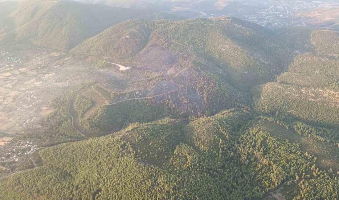 MUĞLA'NIN BODRUM İLÇESİNDE MEYDANA