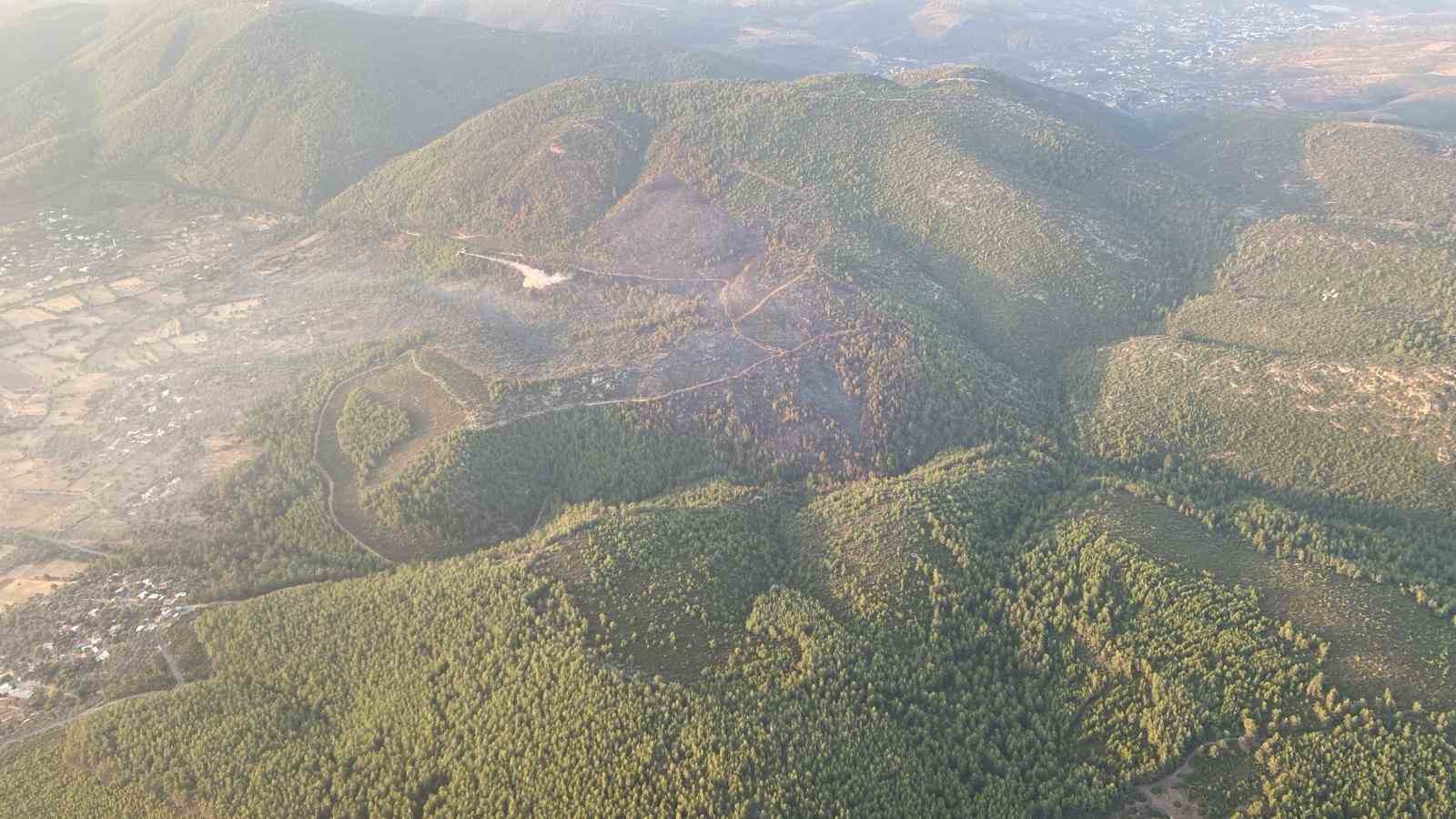 Bodrum’daki orman yangını kontrol altına alındı