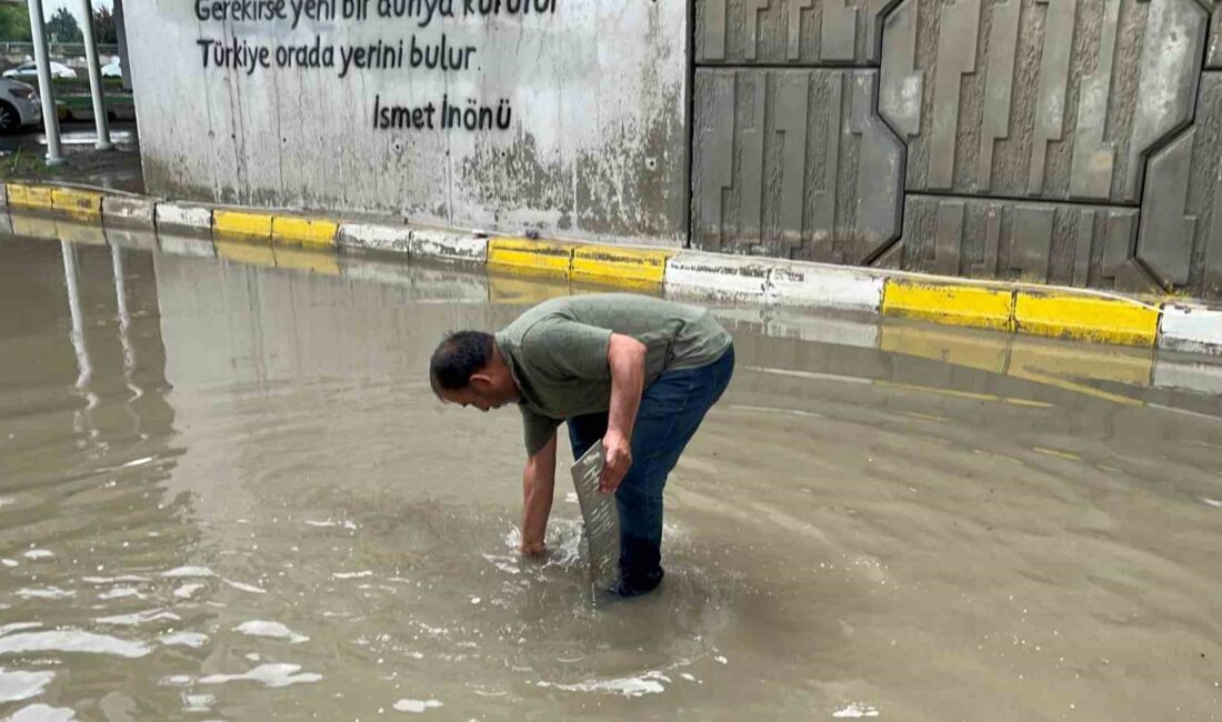 BOLU’DA ANİDEN BASTIRAN SAĞANAK