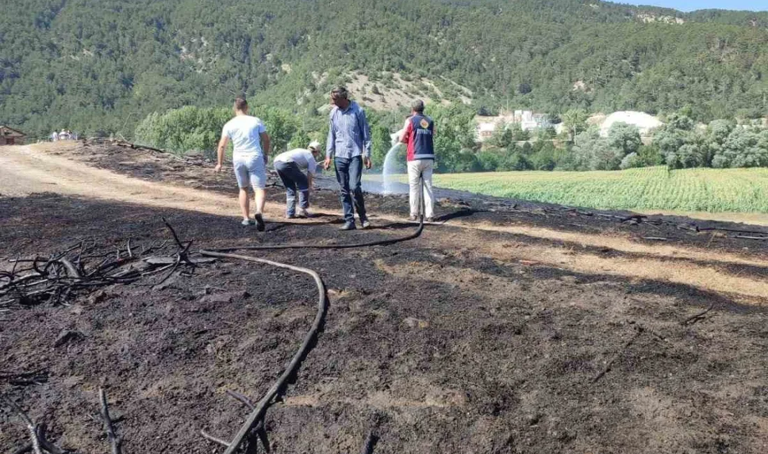 BOLU’DA KURU OTLARIN BULUNDUĞU