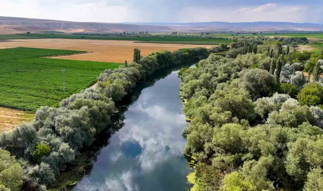 KIRIKKALE'NİN ÇELEBİ İLÇESİNDE, TÜRKİYE'NİN