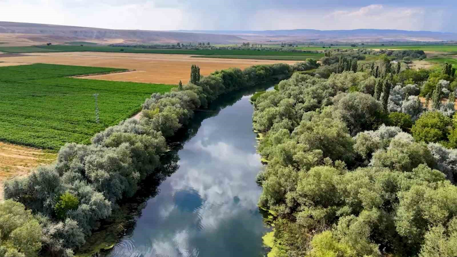 Bozkırın kalbinde Kızılırmak ile bütünleşen yeşil doğa