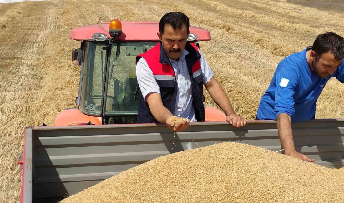 BOZÜYÜK'TE BİÇERDÖVERLER DENETİMLERİ YAPILDI