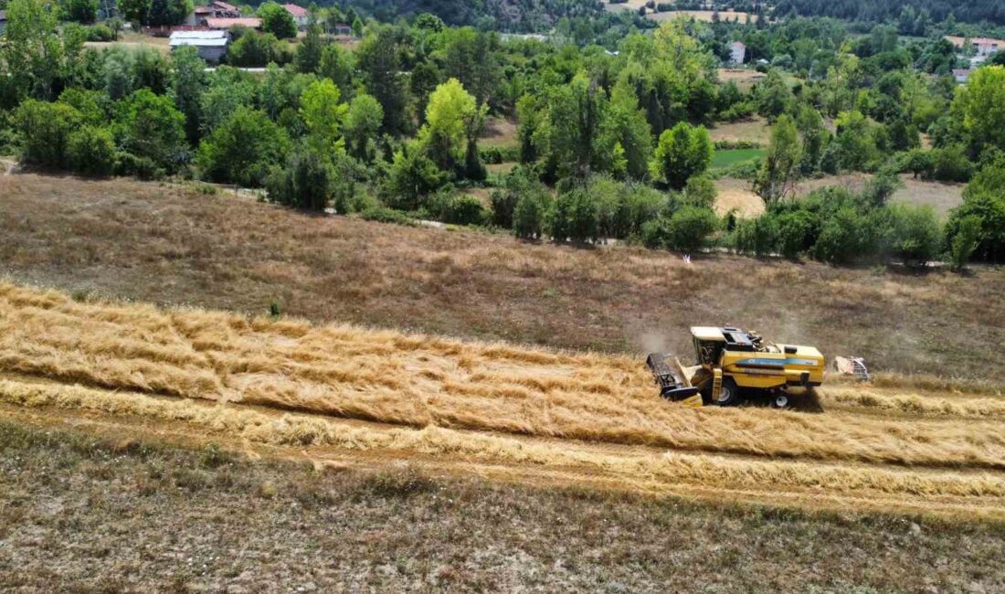 KASTAMONU’DA GEÇMİŞİ 12 BİN