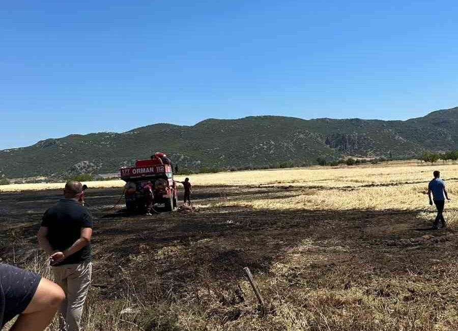 BURDUR’UN ÇELTİKÇİ İLÇESİNDE HASAT