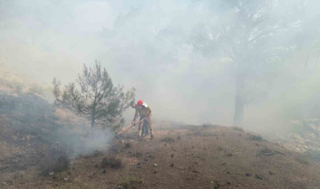 BALIKESİR’İN BURHANİYE İLÇESİNDE ÇIKAN