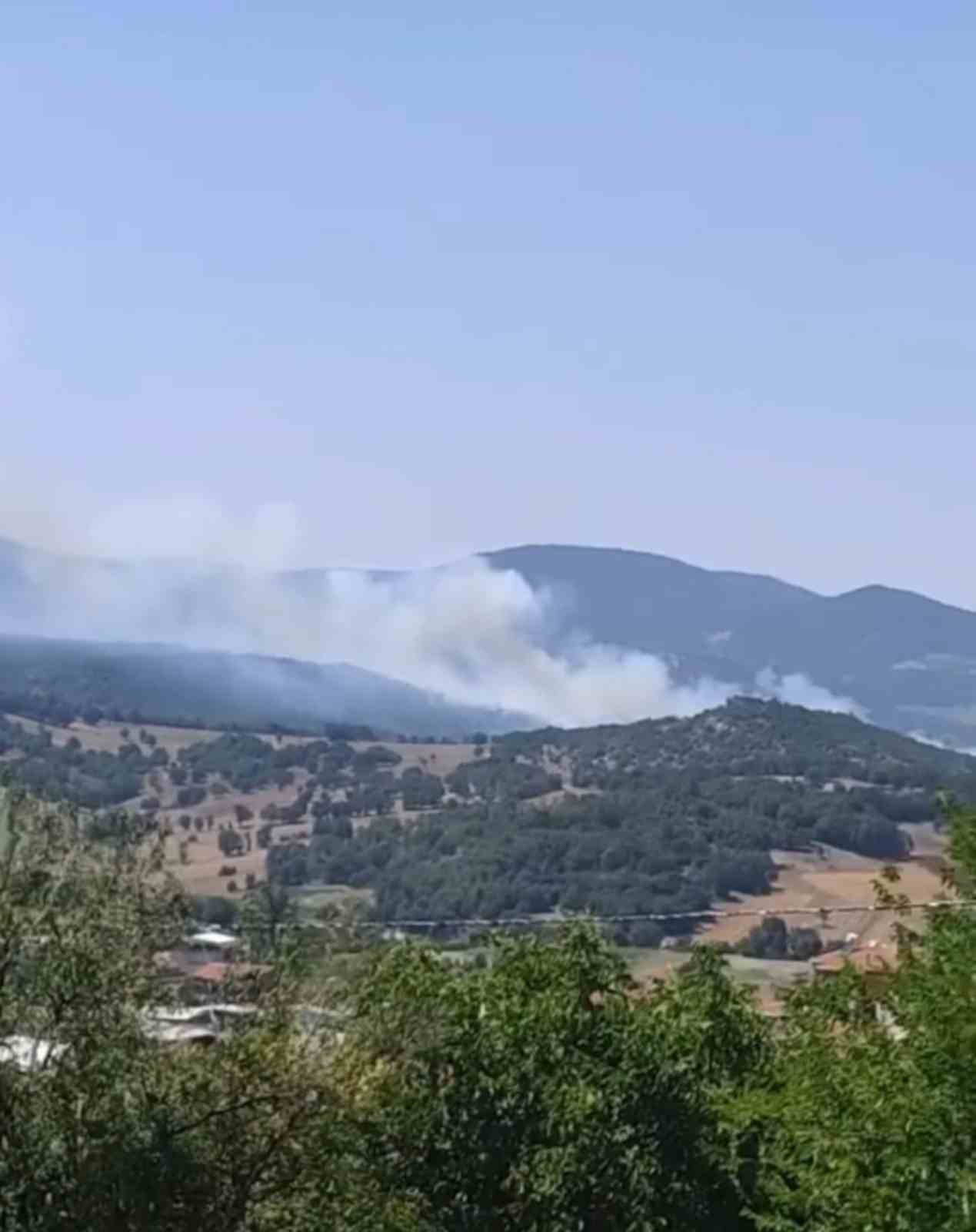 Bursa’da orman yangını çıktı, havadan ve karadan müdahaleler başladı