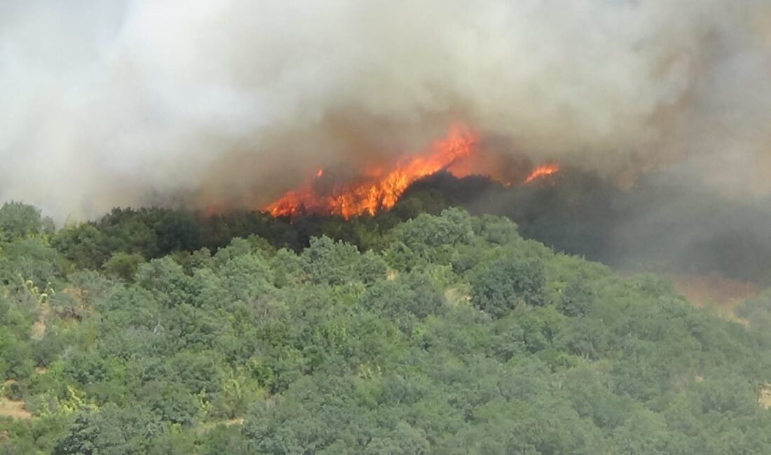 ÇANAKKALE VALİLİĞİ, METEOROLOJİ GENEL