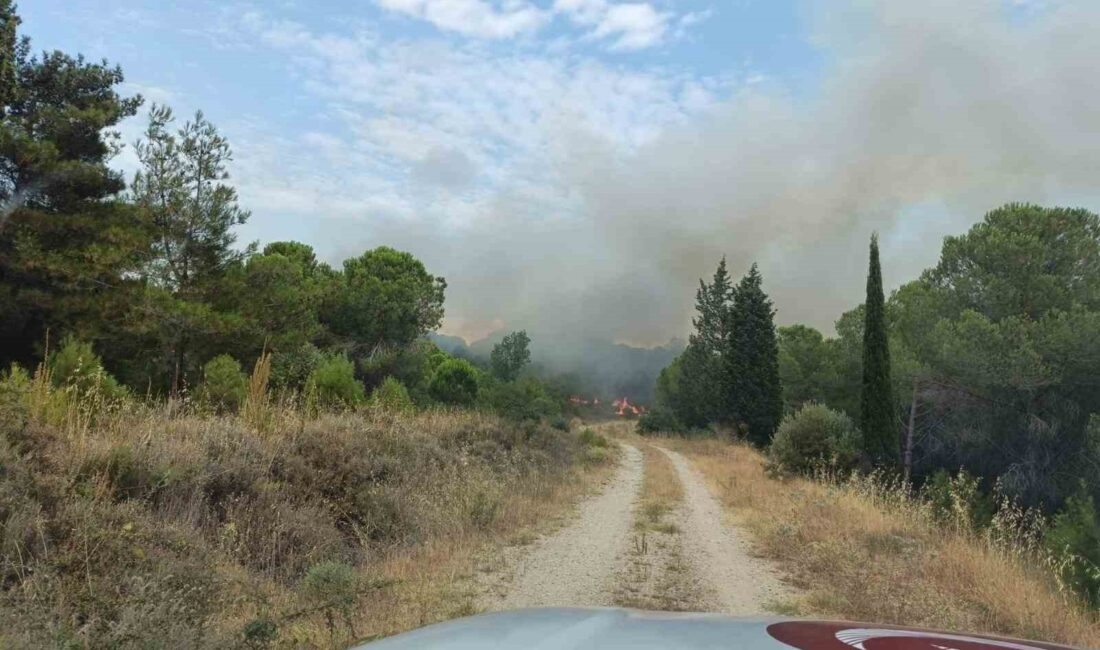 ÇANAKKALE'NİN ECEABAT İLÇESİNDE ÇIKAN