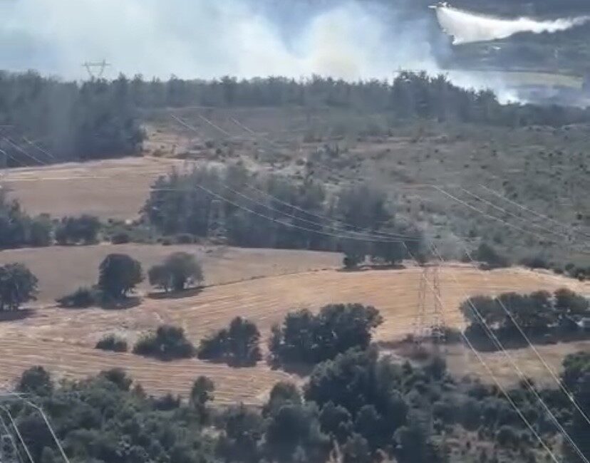 ÇANAKKALE’NİN ÇAN İLÇESİNDE ÇIKAN