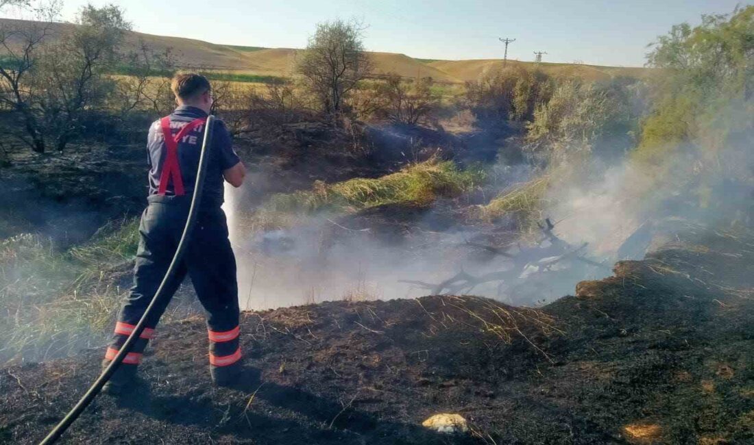 ÇANKIRI’DA BİR ARAZİDE ÇIKAN