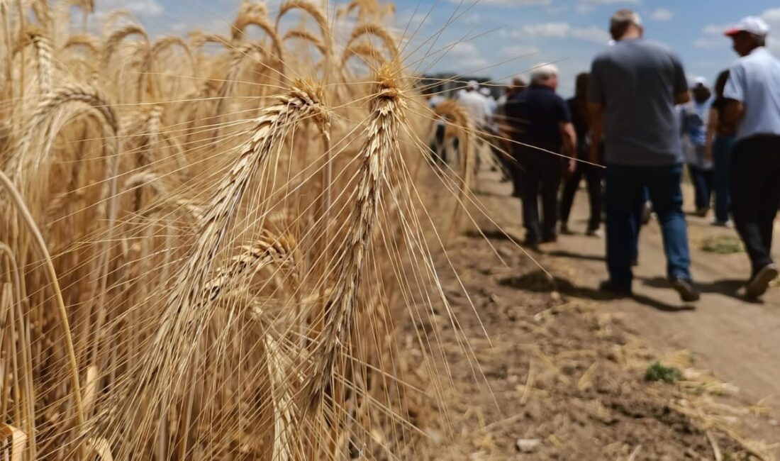 TARIM VE ORMAN BAKANLIĞI