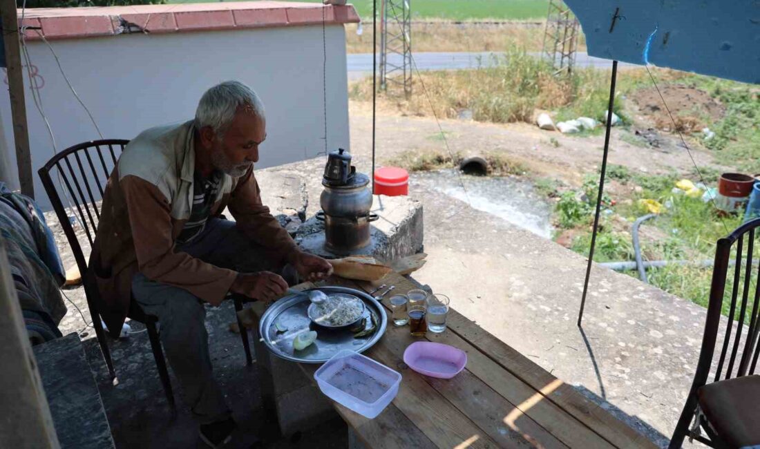 KAHRAMANMARAŞ'TA TARIM İŞÇİSİ, HER