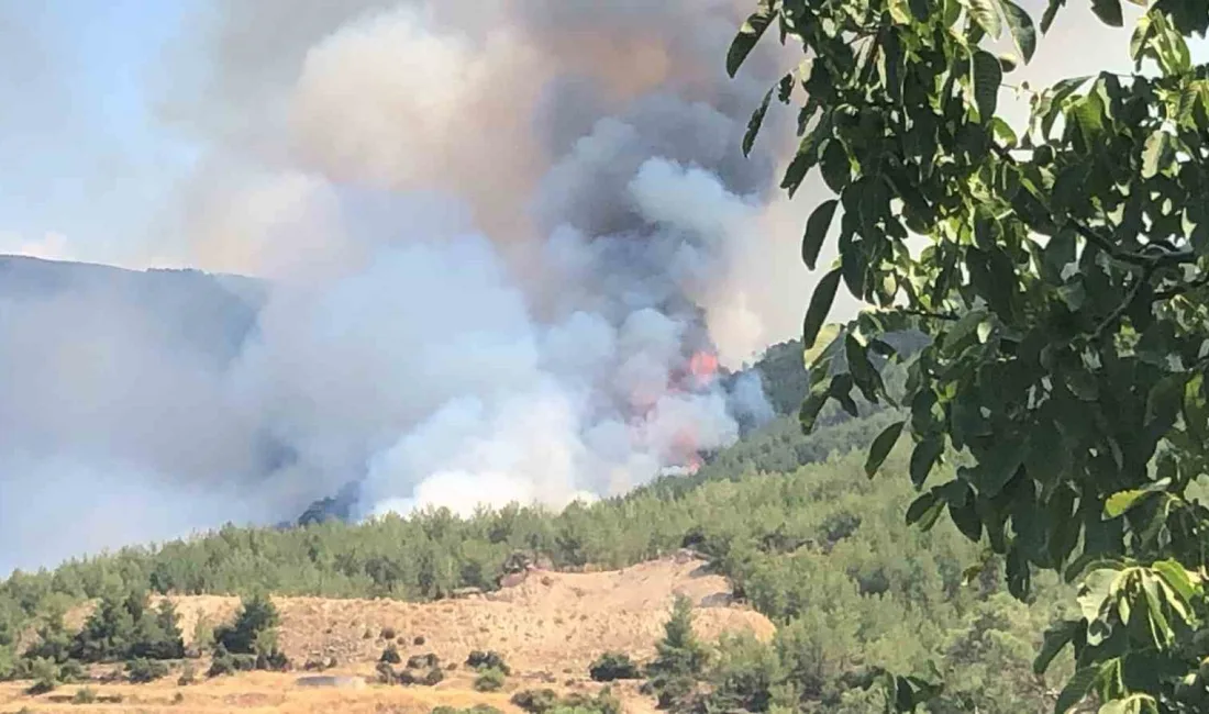 ÇİNE’DE ORMAN YANGINI