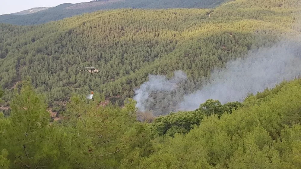 Çine’deki orman yangını kontrol altına alındı