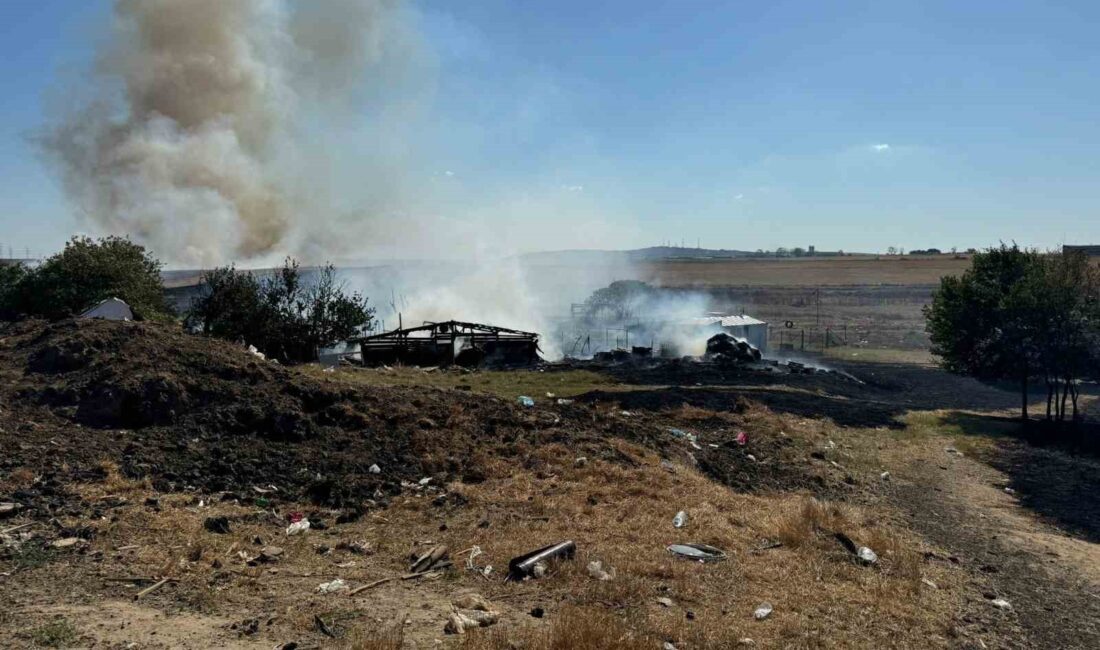 TEKİRDAĞ'IN ÇORLU İLÇESİNDE ÇİFTLİKTE