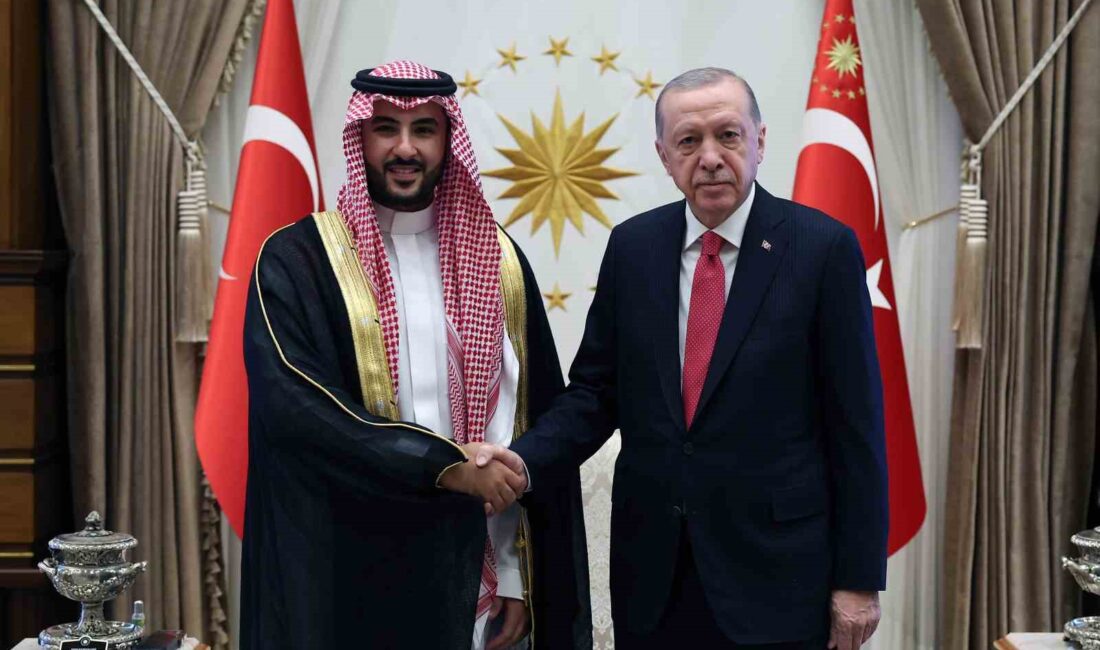 CUMHURBAŞKANI RECEP TAYYİP ERDOĞAN, SUUDİ ARABİSTAN SAVUNMA BAKANI HALİD BİN