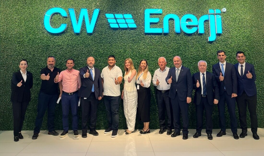 CW ENERJİ, 2023 YILI