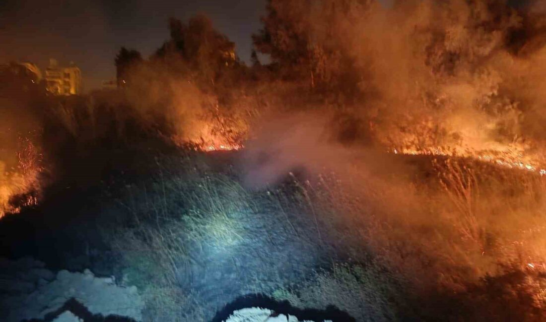 HATAY’IN DEFNE İLÇESİNDE MEYDANA