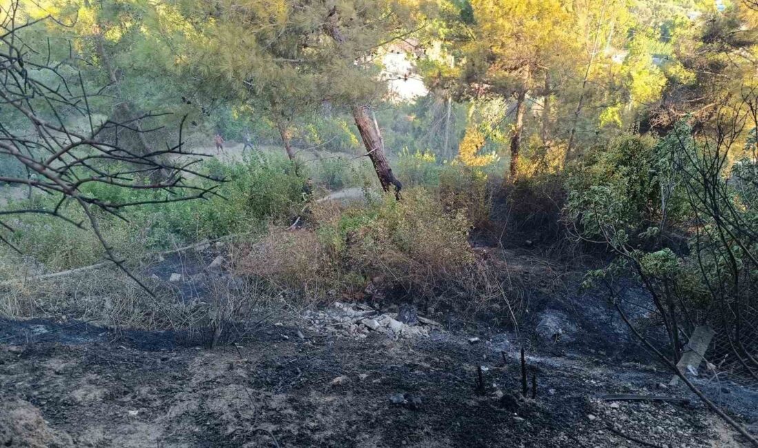 HATAY’IN DEFNE İLÇESİNDE MEYDANA