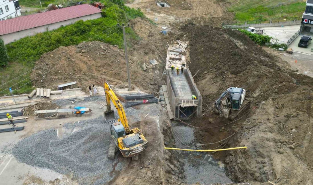 MERT IRMAĞI’NA DÖKÜLEN İKİ