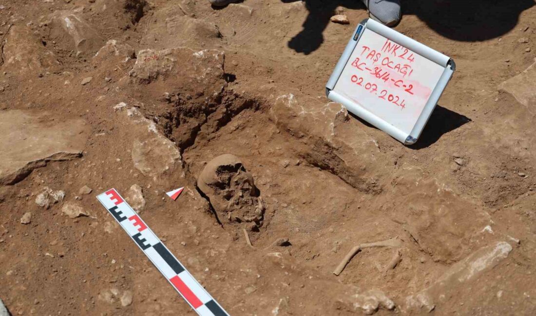 DİYARBAKIR'IN KULP İLÇESİNDE YÜRÜTÜLEN