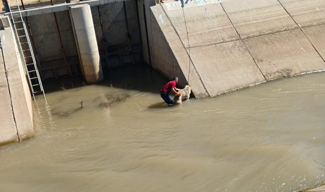 DİYARBAKIR’IN ÇINAR İLÇESİNDE SULAMA