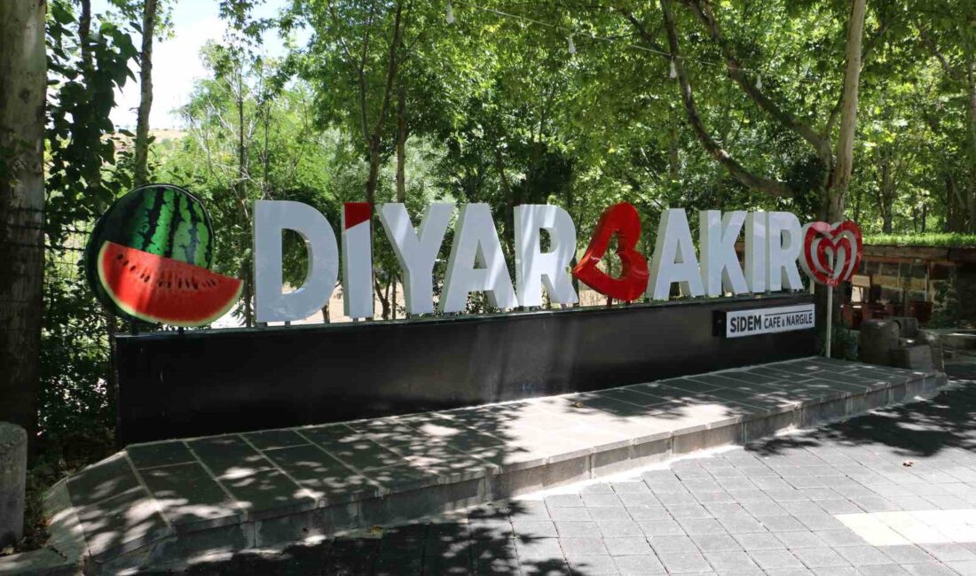 DİYARBAKIR'DA TERMOMETRELER 45 DERECEYİ