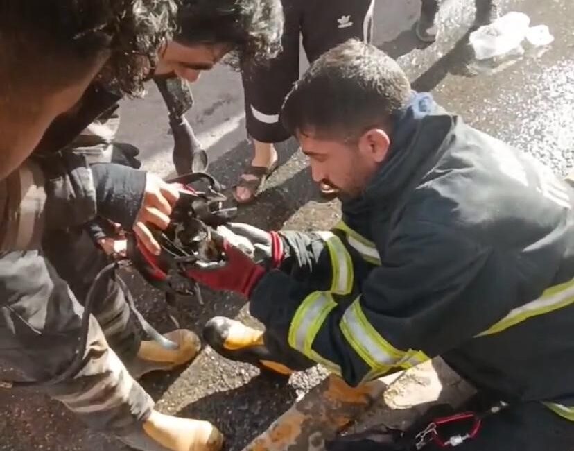 DİYARBAKIR’DA MERKEZ KAYAPINAR İLÇESİNDE