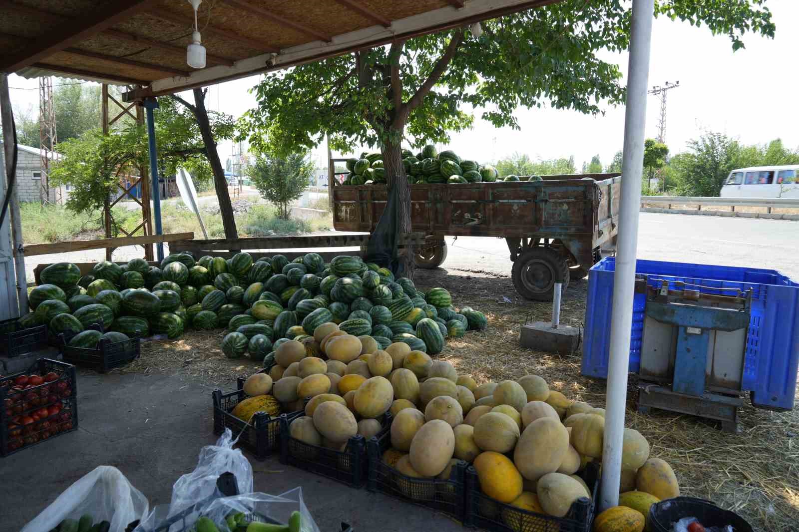 Doğu’nun Çukurova’sından çevre illere sebze ve meyve satılıyor