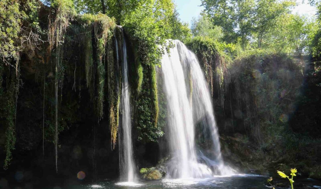 ANTALYA BÜYÜKŞEHİR BELEDİYESİ’NİN BAKIM