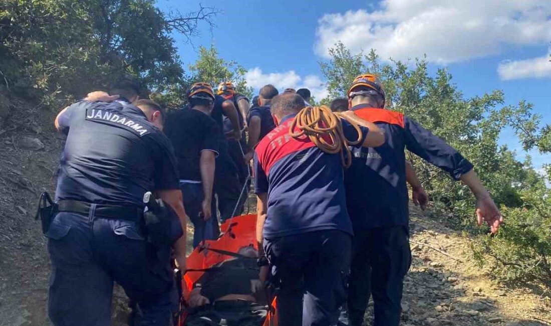 AMASYA’DA ORMANLIK ALANDA UÇURUMDAN