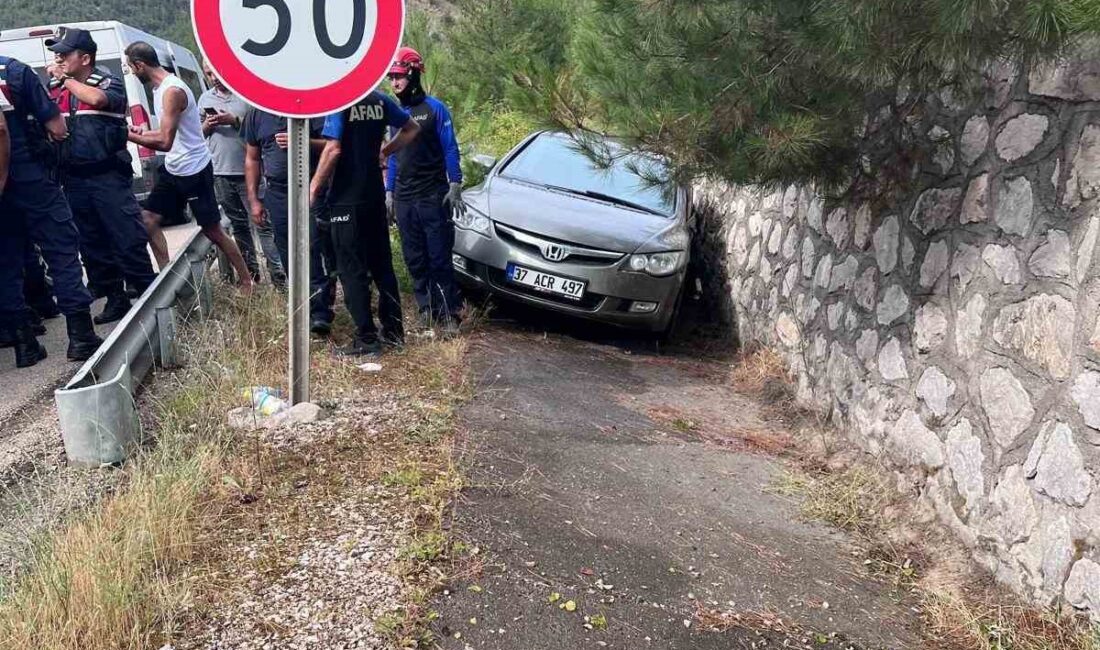 KARABÜK'TE SÜRÜCÜSÜNÜN KONTROLÜNDEN ÇIKAN