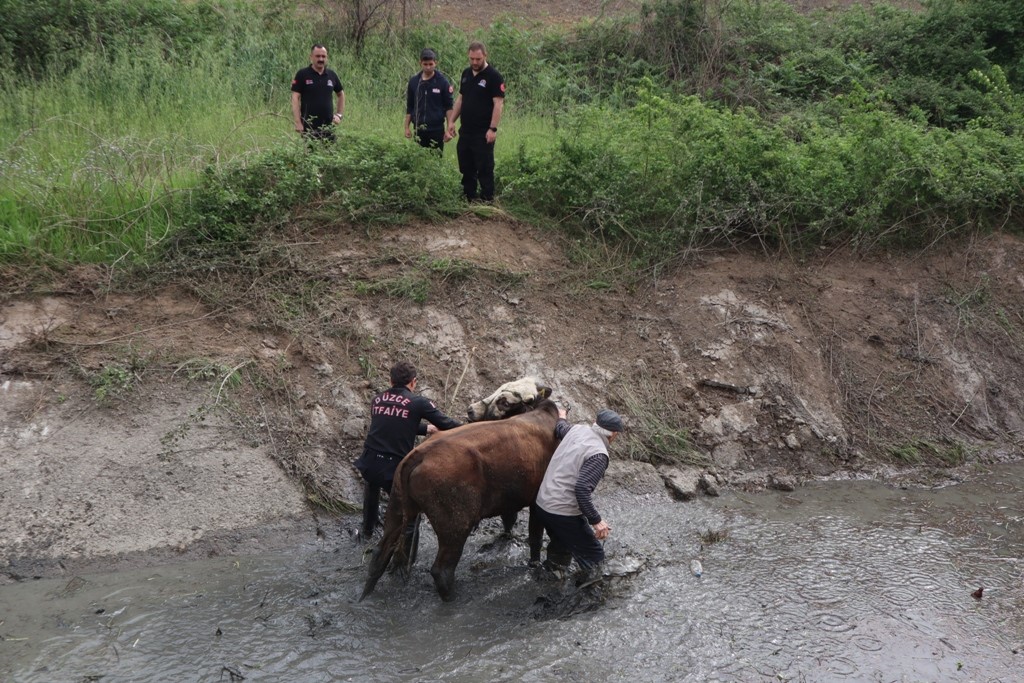 Düzce itfaiyesi 857 olaya müdahale etti