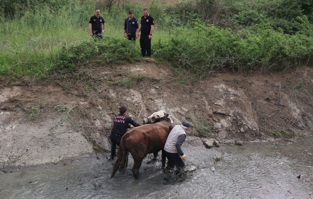 DÜZCE BELEDİYESİ İTFAİYE MÜDÜRLÜĞÜ,