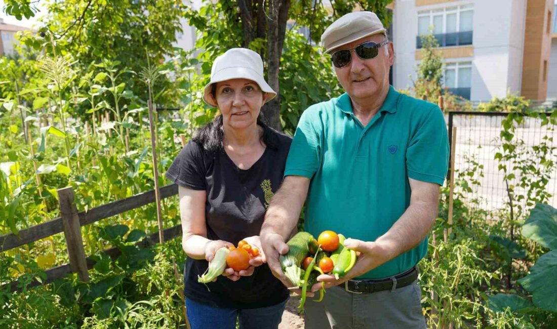 EMEKLİ GÜLER ÇİFTİ GÖNÜLLÜ