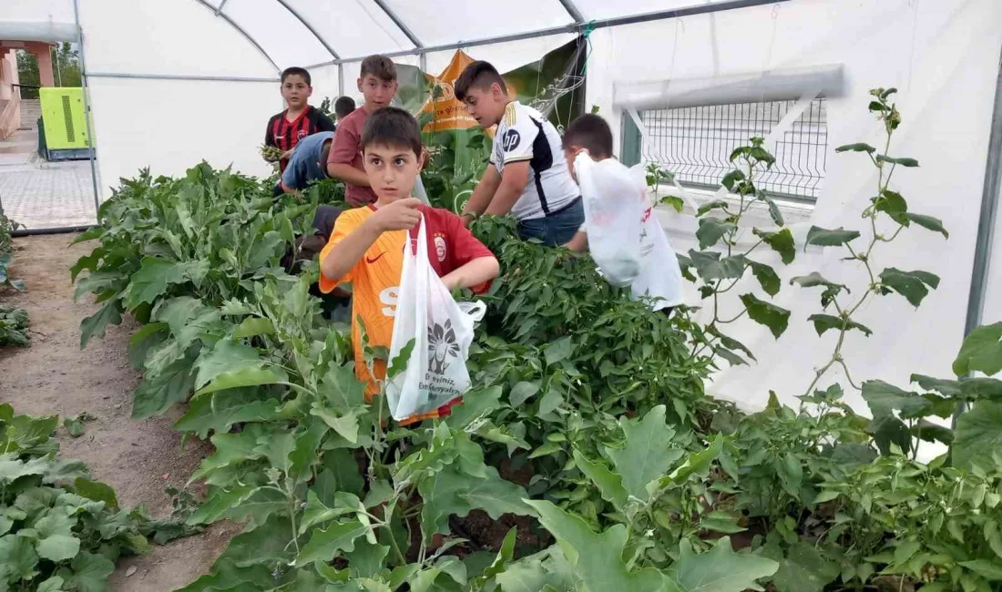 ERZİNCAN’DA “OKULDAKİ ÇİFTLİK" PROJESİYLE