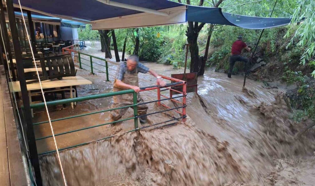 ERZİNCAN’DA ETKİLİ OLAN SAĞANAK