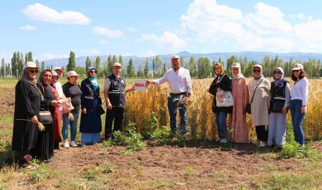 TARIM VE ORMAN BAKANLIĞI