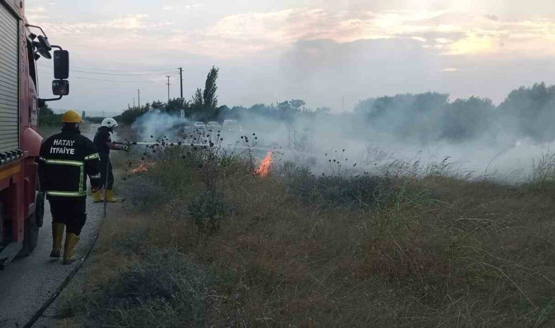 HATAY’IN ERZİN İLÇESİNDE DOĞAL