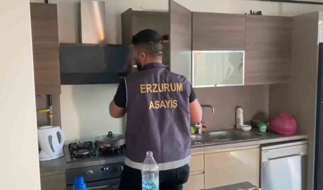 ERZURUM MERKEZLİ 5 İLDE