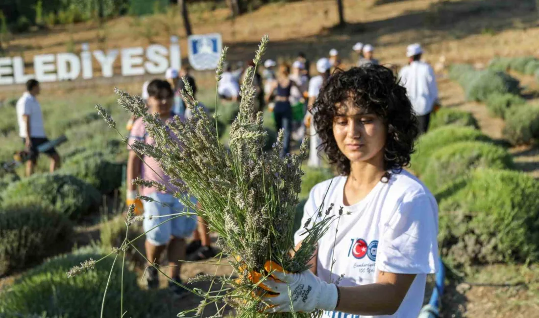 BODRUM BELEDİYESİ, GARAOVA TARIM