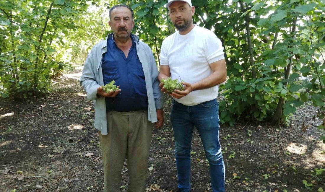 ÇARŞAMBA ZİRAAT ODASI BAŞKANI